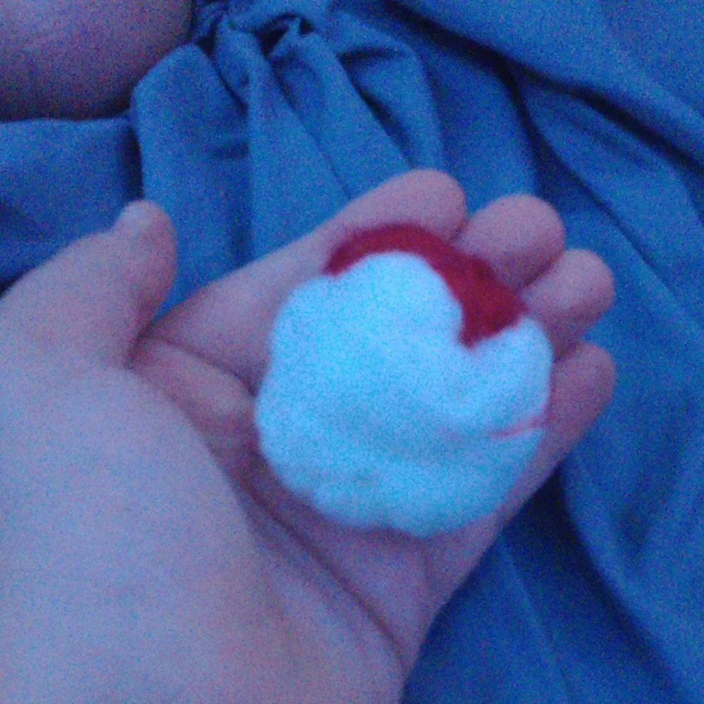 Homemade Cat Toy